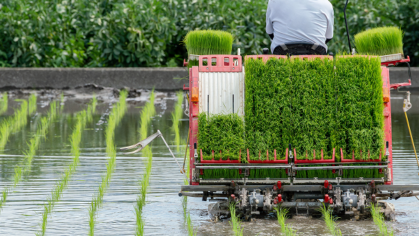 イメージイラスト