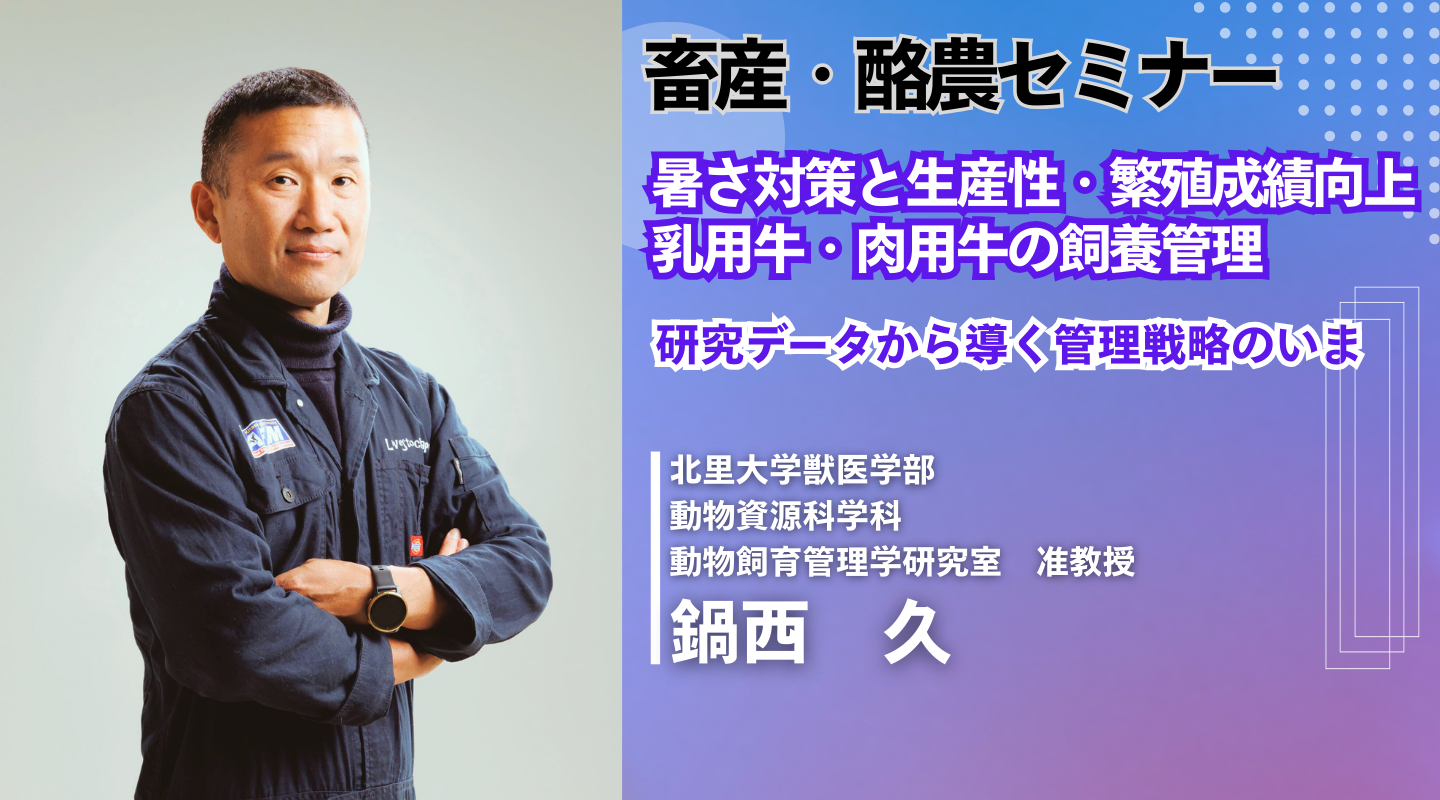 イメージイラスト